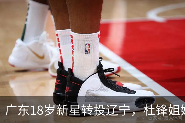 广东18岁新星转投辽宁，杜锋姐姐当选篮协副会长，2后卫试训新疆，广厦外援接受归化